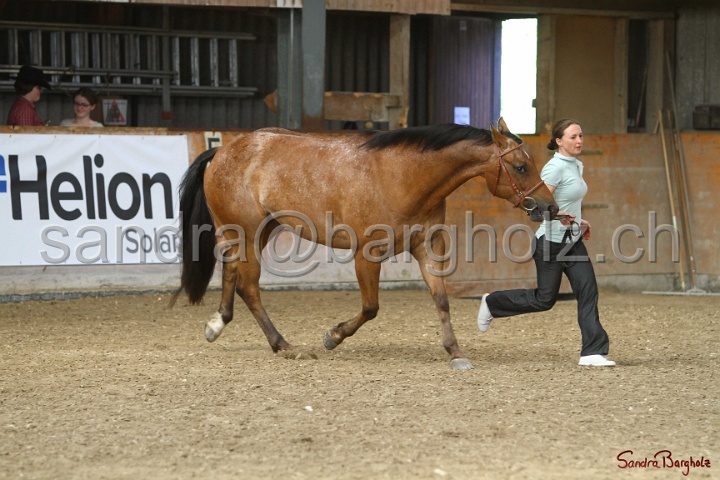 24-ApHC HIH_120.jpg